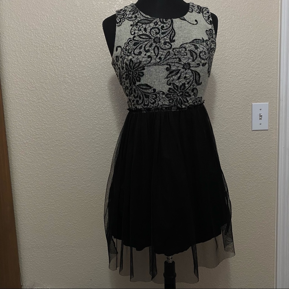 Made in San Francisco Dress Grunge Gothic Whimsigoth Tulle